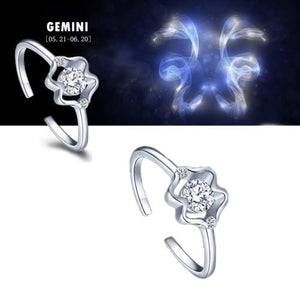 Zodiac sign adjustable Rings