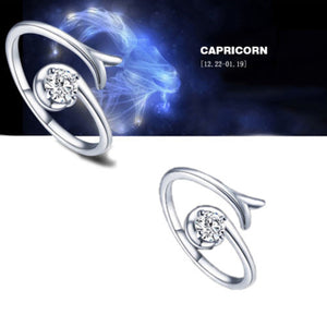 Zodiac sign adjustable Rings