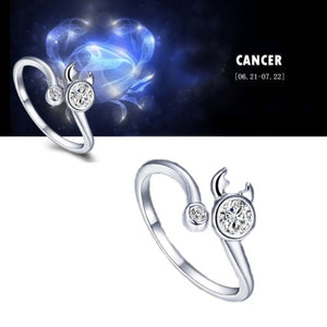 Zodiac sign adjustable Rings