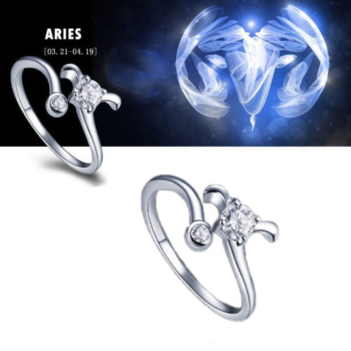 Zodiac sign adjustable Rings