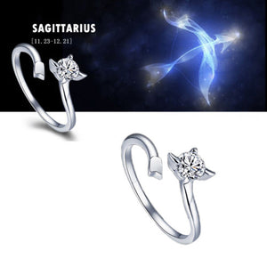 Zodiac sign adjustable Rings