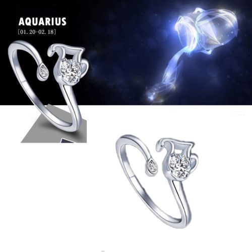 Zodiac sign adjustable Rings