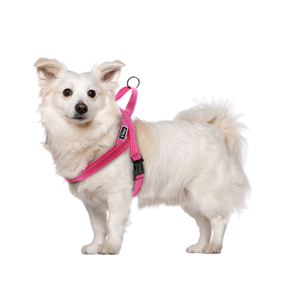 No Pull Reflective Dog Harness Leash